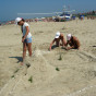 Песчаный пляж и своя территория на берегу Черного моря
